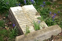 This headstone caught my imagination. Dedicated to the memory of a fellow of the Institute of Journalists, I love that Mother Nature is pushing her bluebells through the book